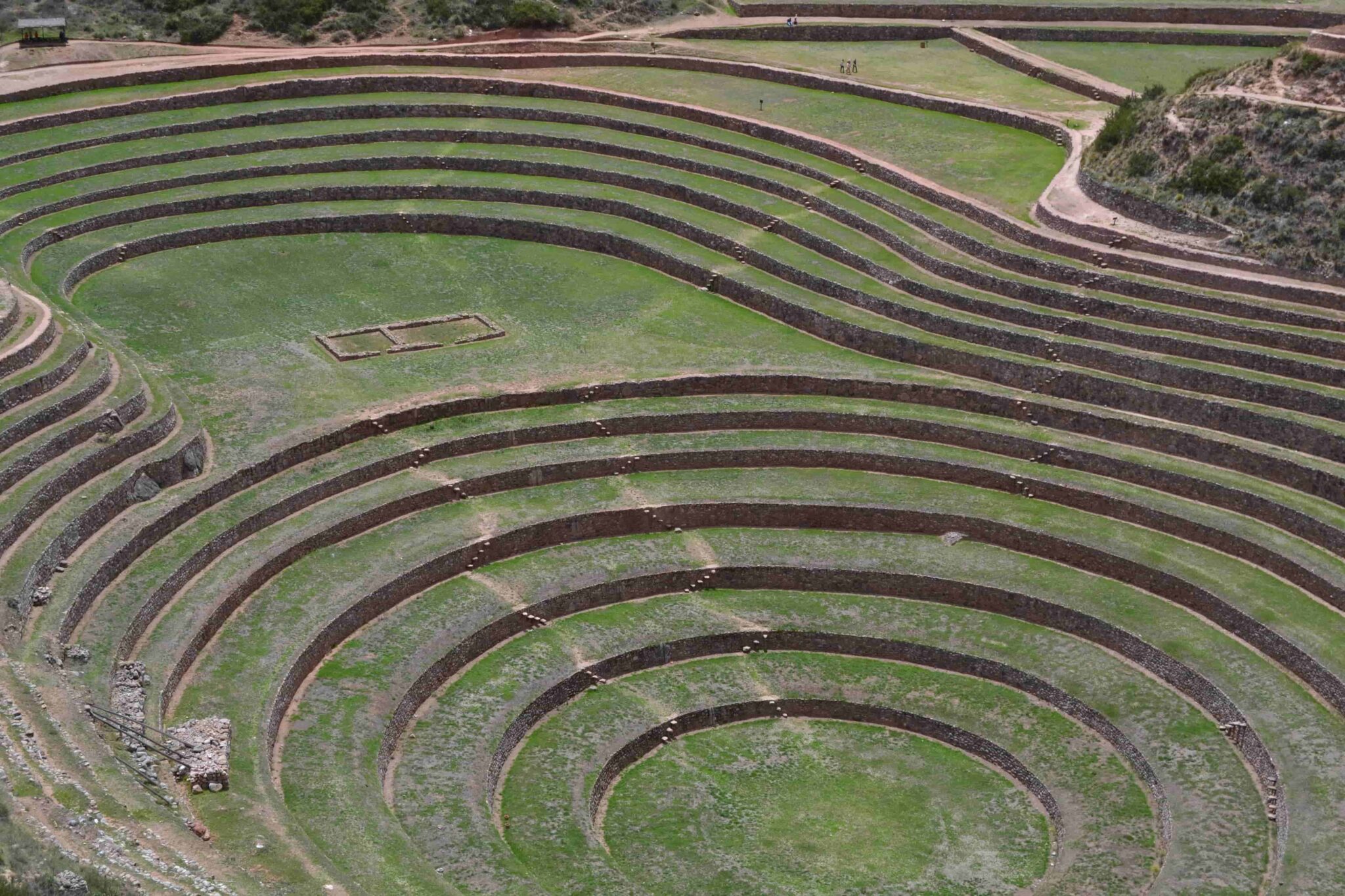 Maras Moray
